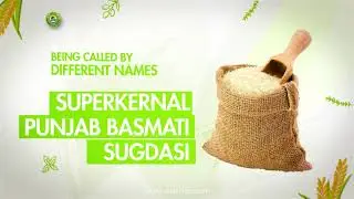 SUPER KERNAL BASMATI RICE - ASIF RICE MILLS