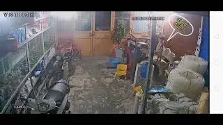 L.N.P.V 2020