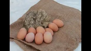 Важнейший минерал для получения качественного инкубационного яйца от птиц родительского стада.