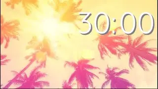 30 Minute Countdown Timer | Palm Trees | Summer | Silent