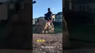 wait till the end 😂🔥 #funny #shorts