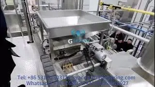Automatic Peanut Coating Machine