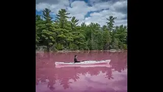 Gatineau Park: Pink Lake Trail
