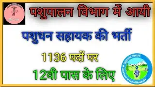 पशुपालन विभाग भर्ती 2022 || Pashupalan Vibhag Job Vacancy 2022 || AHD Rajasthan Recruitment 2022