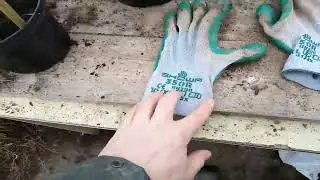Thornproof vegan gardening gloves 🧤  Finally!