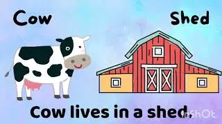 🏡 Where Do Animals Live? | Animal Homes for Kids | EVS Short