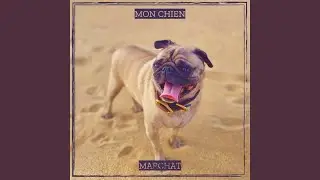 mon chien