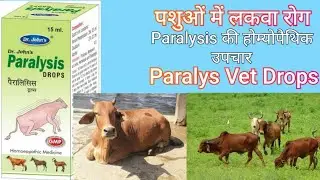 paralys Vet Drops( पशुओं में लकवा रोग या paralysis की होम्योपैथिक उपचार