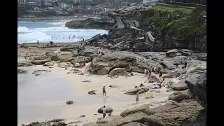 Живу на пляже CRONULLA BEACH, основа которого была положена еще в 1880-м году.
