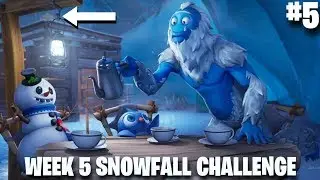 Fortnite Week 5 Secret Battle Star Location | #5 Loading Screen | Snowfall challenge