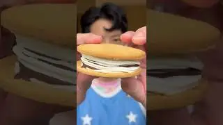 ZEBRA Ice Cream Sandwich at the Convenience Store in Japan