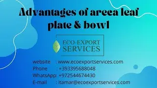 Advantages of areca leaf plate and bowl