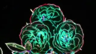 No Copyright. Neon Color Roses Background // Fondo de Rosas Color Ne&oacute;n.