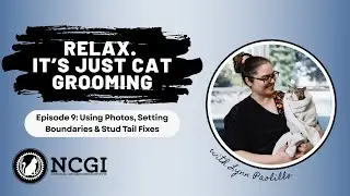 Using Photos, Setting Boundaries & Stud Tail Fixes | Relax. It&rsquo;s Just Cat Grooming Episode 9
