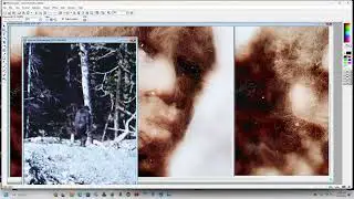 M.K.Davis Discusses the Quality of the Patterson Bigfoot Film
