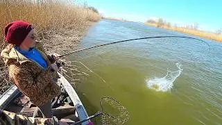WOW, CARP FISHING WITH MY WIFE! LOTS OF FISH! HERE IT BEGINS! First carp fishing trip
