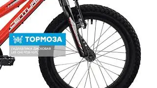 Обзор велосипеда Centurion R' Bock 16,3 Team 2018