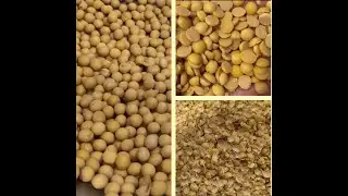 Economical beans peeling machine factory direct supply