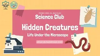 🔬 Hidden Creatures Life Under the Microscope