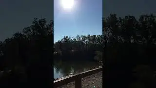 More At Cave Run Lake