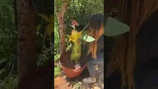 выращивать цветы