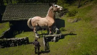 Gypsy Cob Horse Found And Tamed By Arthur Morgan at Mysterious Location
