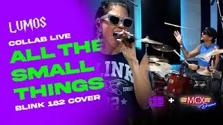 All the small things (live collab cover) LEELEE & MCX