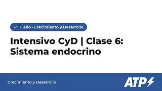 Intensivo CyD | Clase 6: Sistema endocrino