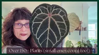 Full Houseplant Home Tour | 150+ Plants 🌿 My Rare Anthurium & Hidden Gems Collection