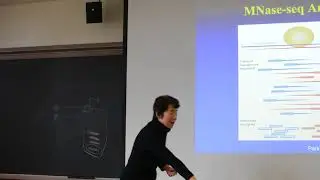 2018 STAT115 Lect 13.4. Nucleosome Positioning