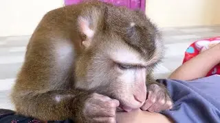 Jason Press Navel Grooming Belly To Wake Dad Up From Sleep