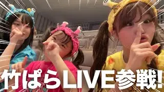 妹が大好きな竹下ぱらだいすのライブに参戦‼️