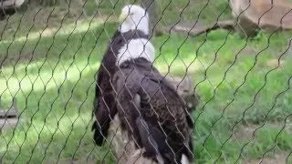 What a fun day at the zoo!