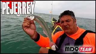 PEJERREYES DE MAR EN ENERO UNA PESCA LIVIANA APASIONANTE PARA TODOS LOS PESCADORES