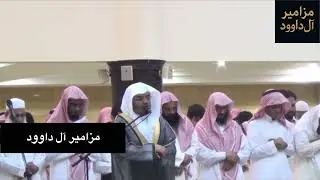 الشيخ ياسر الدوسري (أمن يجيب المضطر إذا دعاه) جامع الدخيل عام 1436/1/2 