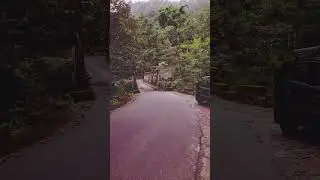 Beautiful Dentam / Sikkim #shorts #beautifuldentam