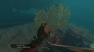 Two idiots playing Stranded deep.