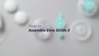 How to Assemble Elve Stride 2