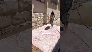 The Best Way To Clean A Giant Rug