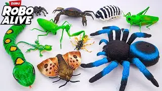 [😽toy asmr😽] Realistic Remote Control Insects: Tarantula - Snake - Moth - Bee Toys ASMR🐍No talking🔇