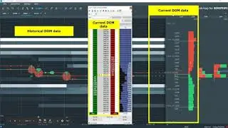 Bookmap Education Course Part 1 Trading with the Order Flow DOM Market Depth Trading