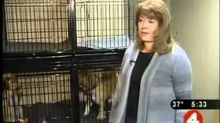Rescuers save dogs from MO puppy mill