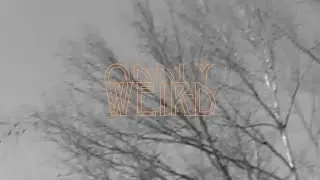 Fredrik Leonard - Oddly Weird (Lyric Video)