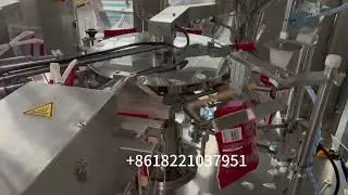 Hawthorn Dried Fruit Rotary Pre-made Bag Packaging Machine