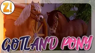 GOTLAND PONY! 🐴 GOTLAND PONY TRAILER | Star Stable  [SSO]
