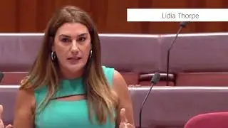 Pseudolaw in the Parliament