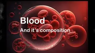 BLOOD 🩸 it&rsquo;s COMPOSITION and TYPES💕