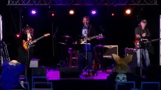 Vox and friends live at Pawcon 2018