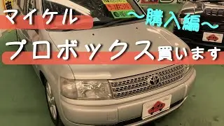 【購入編】マイケル、プロボックス買うってよ。