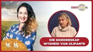Adine Roode  oor die Moederskap Wysheid van Olifante | 6 Junie 2025